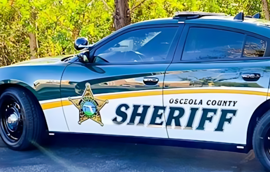 Osceola Cops Go Hands-On With Thrashing Gator In Wild Bodycam Takedown