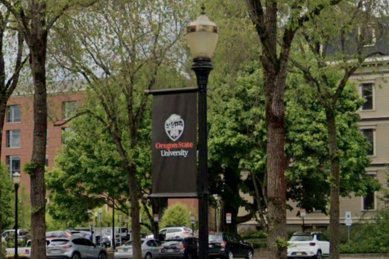 OSU Sounds Alarm, AI Habit Is Numbing Oregon STEM Brains
