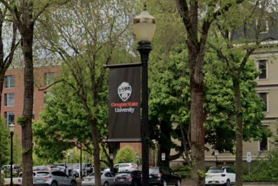 OSU Sounds Alarm, AI Habit Is Numbing Oregon STEM Brains