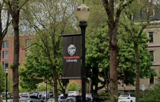 OSU Sounds Alarm, AI Habit Is Numbing Oregon STEM Brains