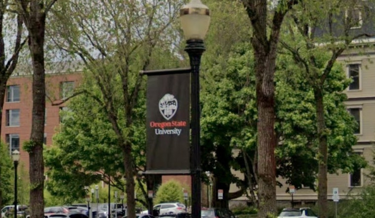 OSU Sounds Alarm, AI Habit Is Numbing Oregon STEM Brains