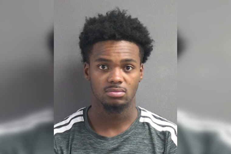 Cops Nab Palm Coast Man After Hours-Long Attack On Pregnant Woman, Deputies Say