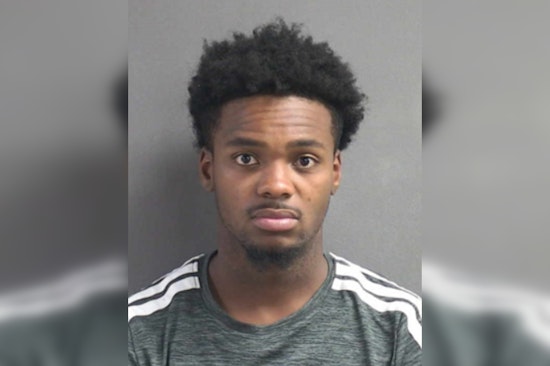 Cops Nab Palm Coast Man After Hours-Long Attack On Pregnant Woman, Deputies Say