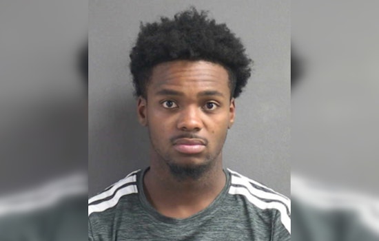 Cops Nab Palm Coast Man After Hours-Long Attack On Pregnant Woman, Deputies Say