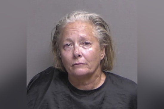 Palm Coast Mom Tells Kids She's 'Done,' Dumps Them At Hospital, Deputies Say 44 Dogs Lived In Filth