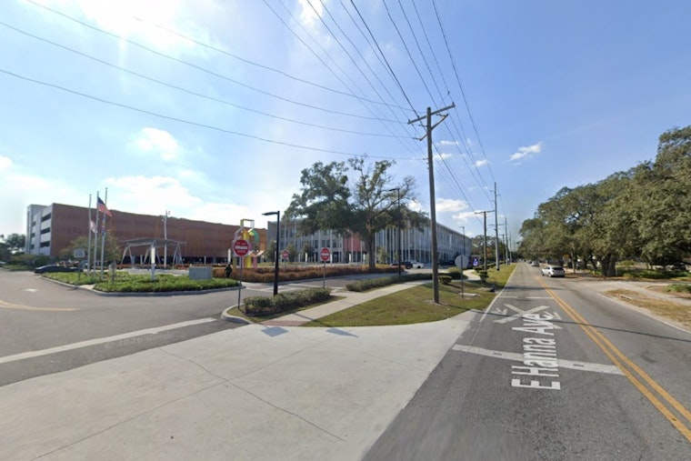 Parched Tampa Yards Score Free Native Plants In Drought Lifeline