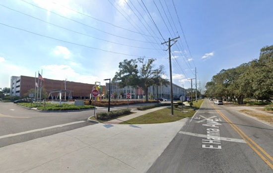 Parched Tampa Yards Score Free Native Plants In Drought Lifeline
