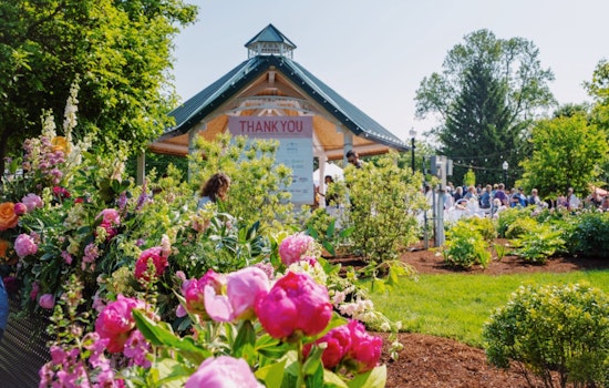 Petal Takeover: Peony Fest Poised To Swamp Downtown Noblesville