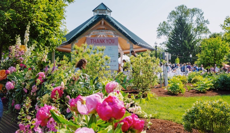 Petal Takeover: Peony Fest Poised To Swamp Downtown Noblesville
