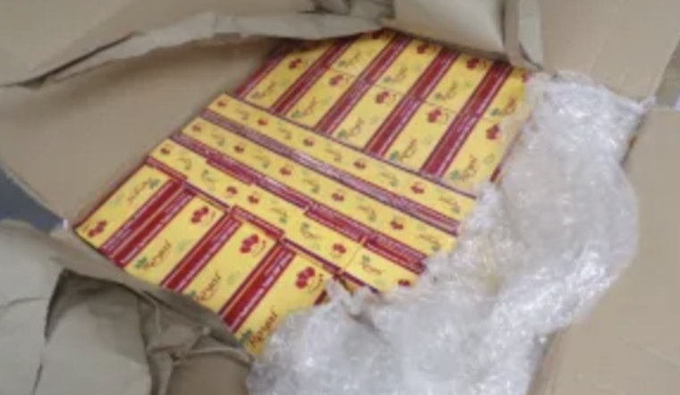 Philly Feds Snag 32,000 Unapproved Pills Before They Hit Spalding County