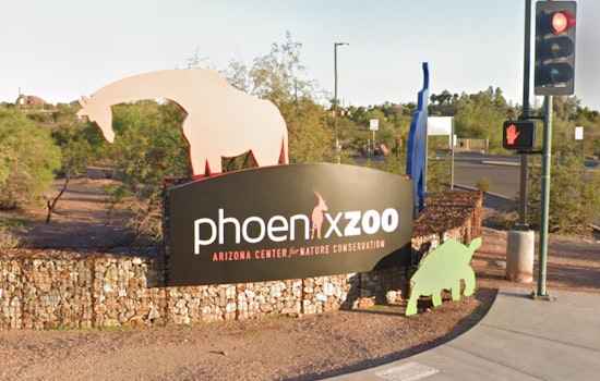 Phoenix Zoo in Border Wall Showdown Over Vanishing Quitobaquito Creatures