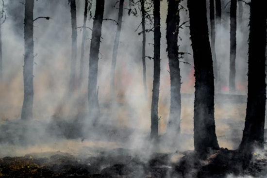Planned Pine Mountain Burn Bolts Line, Sparks Wildfire Near Bend