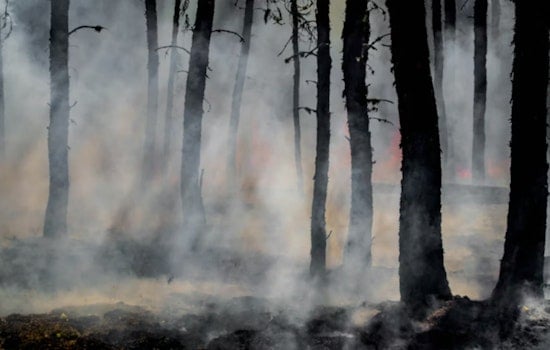 Planned Pine Mountain Burn Bolts Line, Sparks Wildfire Near Bend