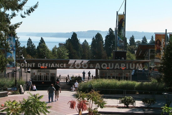 Point Defiance Trail Horror: Tacoma Stabber Finally Faces Sentencing