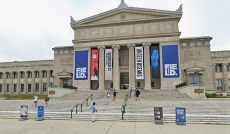Pokémon Fossil Museum Opens at Field Museum in Chicago