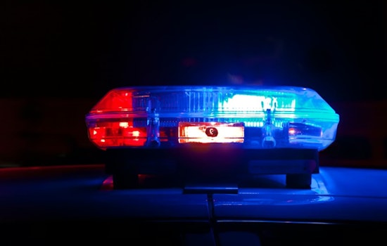 Police Seek Group After Thorndale Red Line Armed Robbery