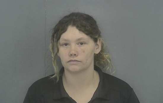 Police Terre Haute Burglary Suspect Hurls Puppy From Car After Break-In