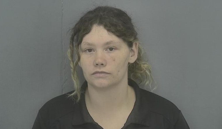 Police Terre Haute Burglary Suspect Hurls Puppy From Car After Break-In