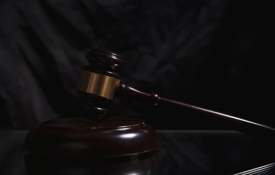 Porter Man Admits Gunning Down Bald Eagle At His Houston-Area Home