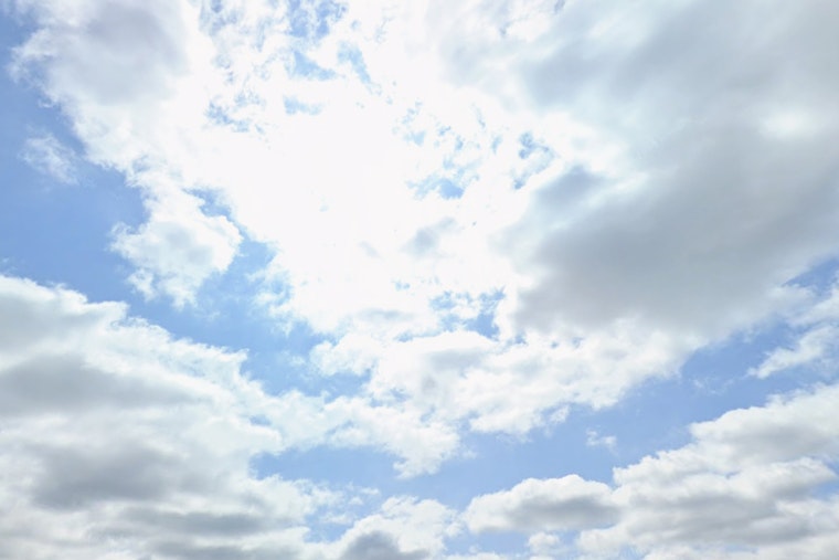 Portland Breaks Out The Sunglasses As Sunny Afternoons Warm Up The Week