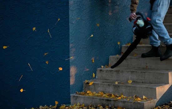 Portland Puts Gas Leaf Blowers On Notice With 2028 Ban