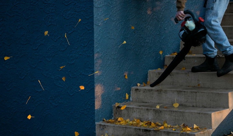 Portland Puts Gas Leaf Blowers On Notice With 2028 Ban