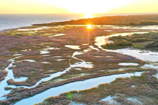 Matagorda Bay's Big Comeback as Powderhorn State Park Plots Gulf Coast Revival