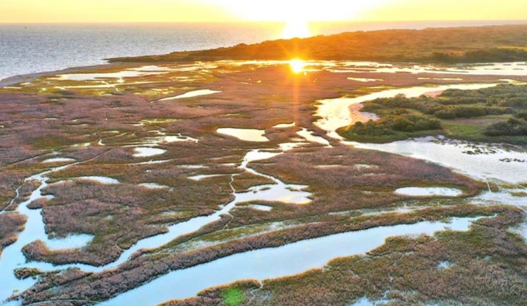 Matagorda Bay's Big Comeback as Powderhorn State Park Plots Gulf Coast Revival