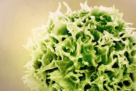 Pulitzer Doc’s Cambridge Lab Snags $122M To Supercharge In Vivo CAR-T