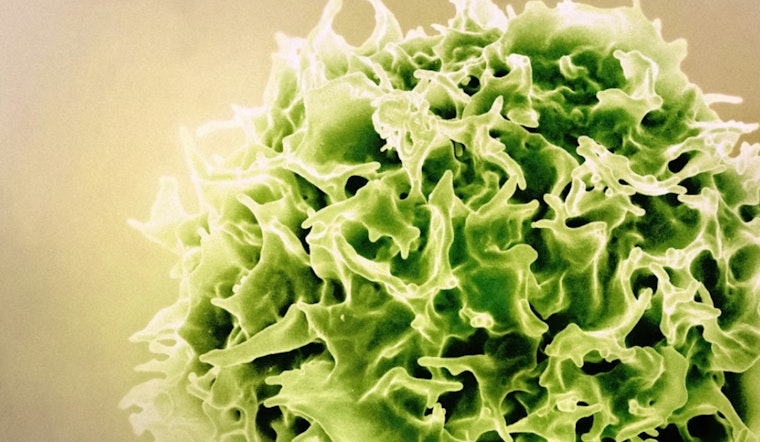 Pulitzer Doc’s Cambridge Lab Snags $122M To Supercharge In Vivo CAR-T