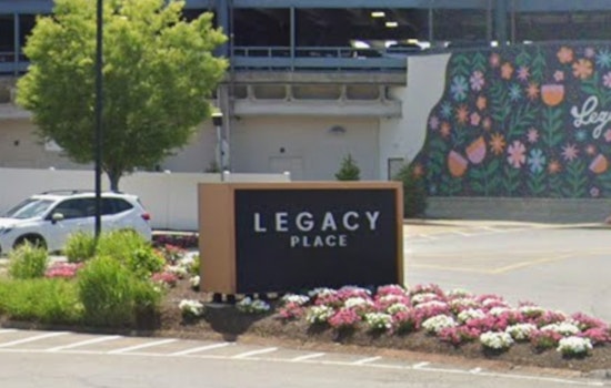 Puppy Rescued After Left In Hot Car At Legacy Place