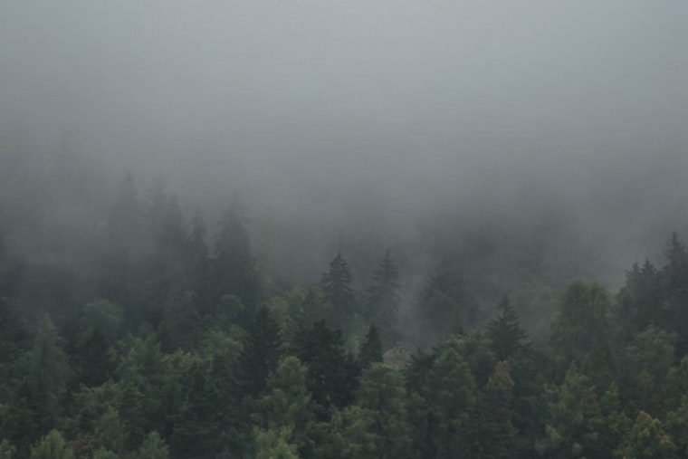 Queen City Wakes to Foggy Soaker as Holiday Weekend Plans Get Soaked