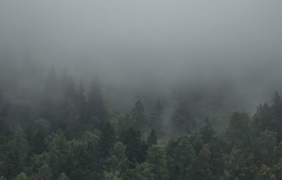 Queen City Wakes to Foggy Soaker as Holiday Weekend Plans Get Soaked