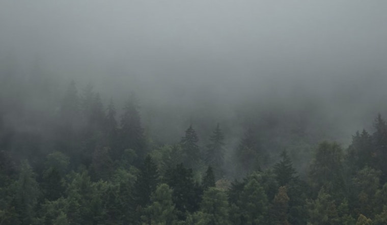 Queen City Wakes to Foggy Soaker as Holiday Weekend Plans Get Soaked