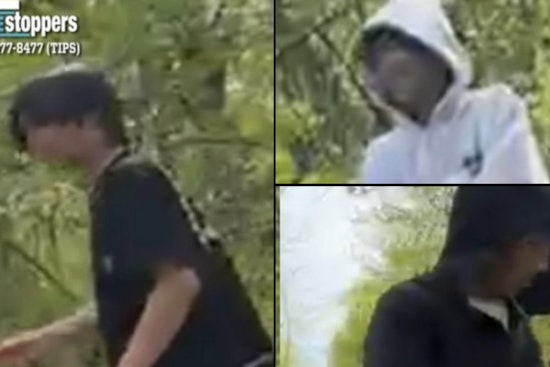 Queens Schoolyard Horror: Flushing Boy, 13, Beaten Outside IS 237 as Cops Hunt Trio