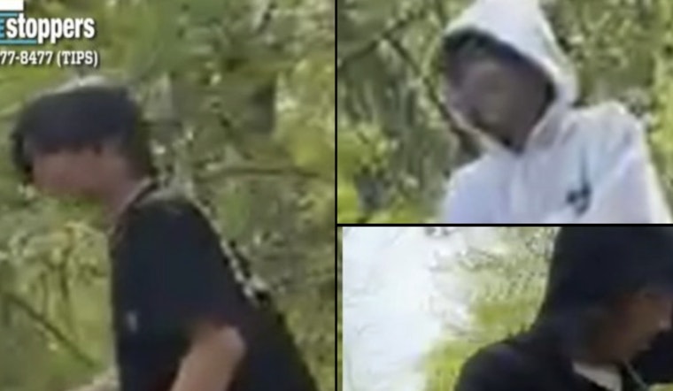 Queens Schoolyard Horror: Flushing Boy, 13, Beaten Outside IS 237 as Cops Hunt Trio
