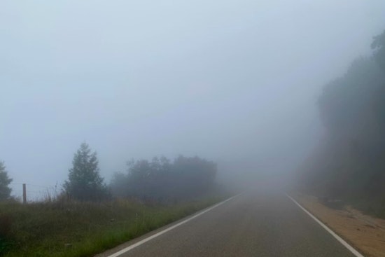Thick Triangle Fog Chokes Morning Drive, Sunshine Wins By Midmorning