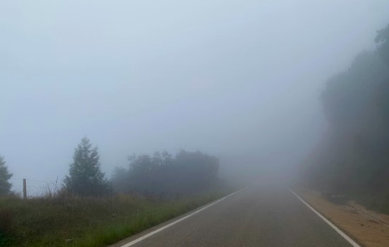Thick Triangle Fog Chokes Morning Drive, Sunshine Wins By Midmorning