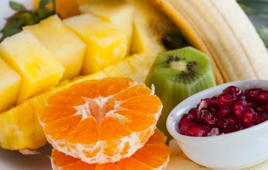 Raleigh Sounds Alarm On Memorial Day Fruit Salad As Parasite Season Looms