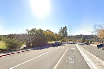 Rancho Penasquitos Brush Fire Sends Smoke Skyward, Snarls Canyon Streets
