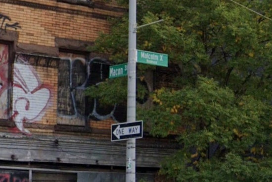 Rats Run Bed-Stuy Walk-Up, Shut Down Mail Delivery