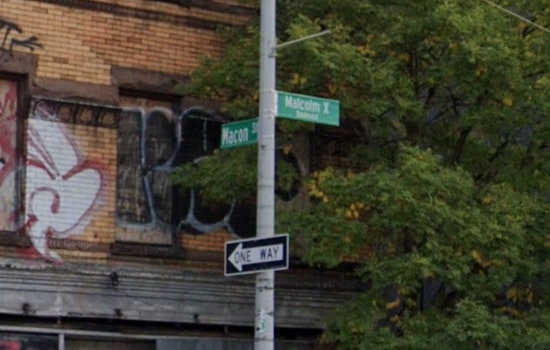 Rats Run Bed-Stuy Walk-Up, Shut Down Mail Delivery