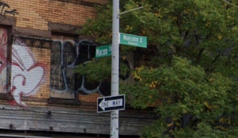 Rats Run Bed-Stuy Walk-Up, Shut Down Mail Delivery