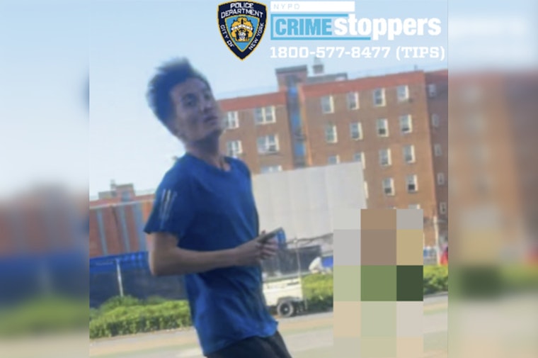 Red Hook Playground Chaos As Man Sought For Choking 7-Year-Old