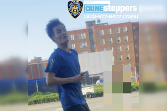 Red Hook Playground Chaos As Man Sought For Choking 7-Year-Old