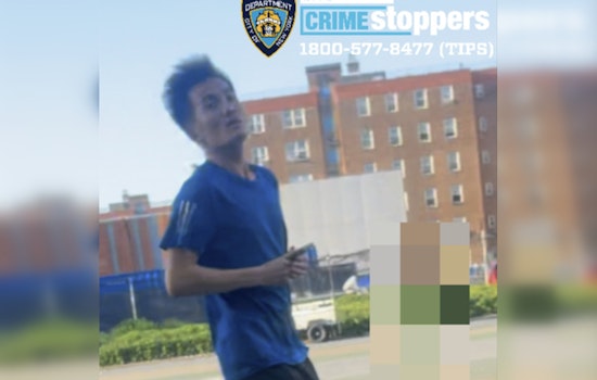 Red Hook Playground Chaos As Man Sought For Choking 7-Year-Old