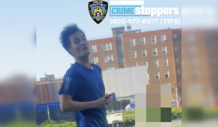 Red Hook Playground Chaos As Man Sought For Choking 7-Year-Old