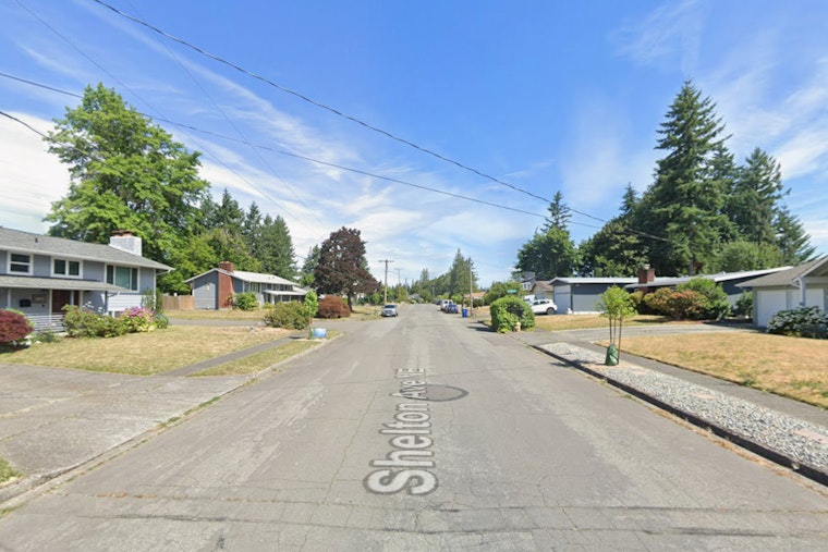 Renton On Bear Watch After Black Bear Lumbers Past Elementary School