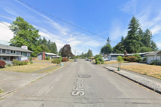 Renton On Bear Watch After Black Bear Lumbers Past Elementary School