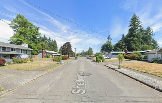 Renton On Bear Watch After Black Bear Lumbers Past Elementary School